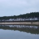 운여해변 이미지