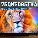 으뜸PC랜드 | LG TV QNED 75인치 모델별 비교 내돈내산 구매후기