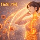 1도의 기적 | [면역력 강화 1편] 체온 1도의 기적: 질병을 막는 가장 저렴하고 강력한 방어막