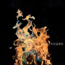 아쿠아마린 - 광양시 구마길 8-1 | 아쿠아마린글램핑 직접 다녀온 솔직 후기
