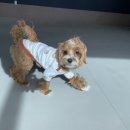 똑독트레이닝스쿨 이미지