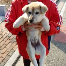 역골동로 이미지