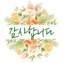 명품어묵핫바떡볶이