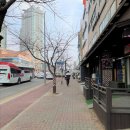 지중해호프식당 이미지