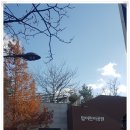 탑어린이공원 이미지