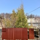 대숲속으로 | [인천 검단 카페] 서원안길 직접 가본 후기｜대숲 품은 브런치 카페의 진짜 매력