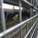 청계유통 이미지