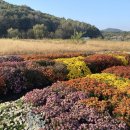 청양 3리 이미지