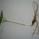 시흥시차량등록사업소(시흥시청) 이미지