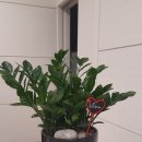 경희온담한의원 이미지