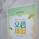 프로피티 이미지