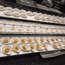 더메이 | 전주 웨딩홀 번외편) 더메이 뷔페 시식 후기 + 선택한 이유 심층분석