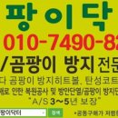 견상낙원 이미지