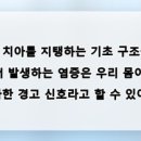자연치아살리기 합정모아치과의원 | 잇몸이 붓고 피가 나는 현상을 가볍게 여기면 안 되는 까닭