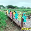 자연유아어린이집 이미지