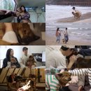 전진농장 이미지