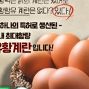 요세비농장