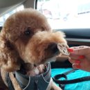 멍블랑제리 이미지