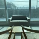 굿나잇도그 이미지