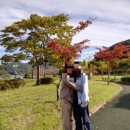 불갑저수지 수변공원 네이버블로그