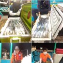 목감낚시 30일/거제탑피싱 갈치만쿨 이미지