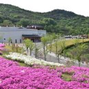 경주시화랑마을