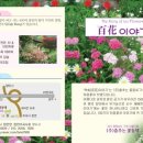 춤추는 마을기업 이미지