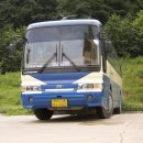 동천여행사
