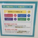 부산 자세교정하러 직접 찾아가 경험해 본 언니네필라테스 부산용호점