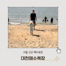 비치팰리스 펜션 이미지