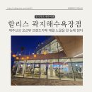 할리스커피 | 제주 곽지해수욕장 카페 추천 신상 오션뷰카페, 할리스커피제주곽지해수욕장점 방문후기