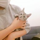 아가헤어 - 해운대구 | 아가헤어