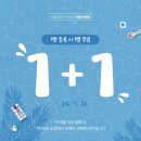 [서울대입구 주짓수]IBJJF 아시안 오픈/일본 시합, 여행 후기(1+1등록 이벤트👫)