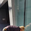 영커피연제일신