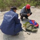 무릉도원면-18 이미지