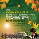 하모니챔버오케스트라 이미지