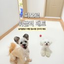 피오르 | 미끄럼방지 강아지매트, 피오르 위글리 매트 후기
