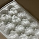 아오리 | 달달하지 아오리사과 후기, 아삭한 식감이 매력적인 여름 제철사과