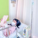 토론토동물병원 | 해외여행자 보험 가격 해외출장 여행 가입 비교 팁