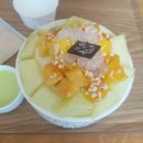 송이온누리약국 이미지