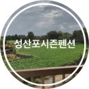 성산포시즌펜션