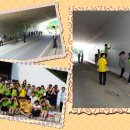 설성면사무소 이미지