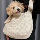 플라워펫 이미지