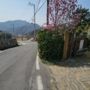 덕산1태양광 이미지