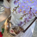 하이스파 이미지