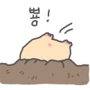 카페익투스 이미지