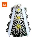 새금산병원 이미지