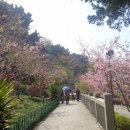 푸저우 9 - 우산을 보고 다시 위산에 올라 시가지를! 이미지