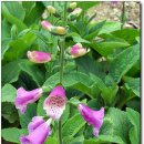 해여림식물원 이미지