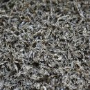 하동남부발전소 하동화력본부 이미지